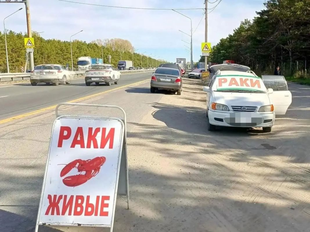 Борьбу со стихийной торговлей на въезде в город усилят в Барнауле