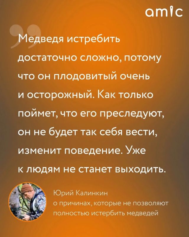Он изучает медведей больше 20 лет Он изучает медведей больше 20 лет