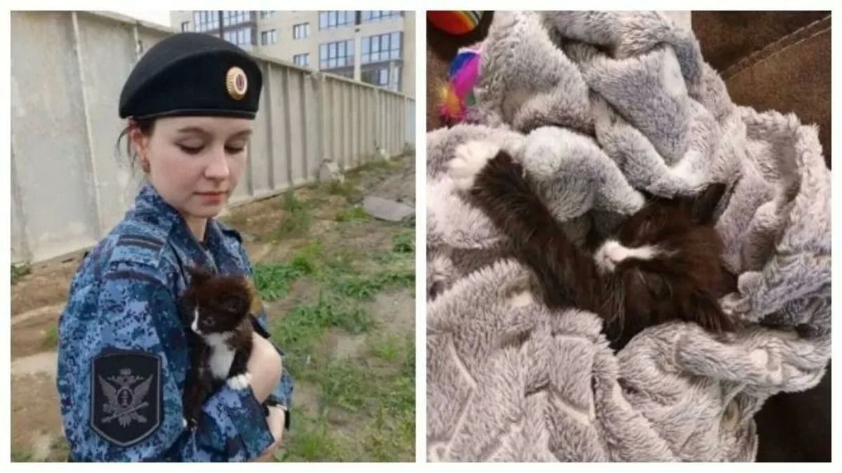 Судебный пристав из Алтайского края нашла бездомному котенку новый дом