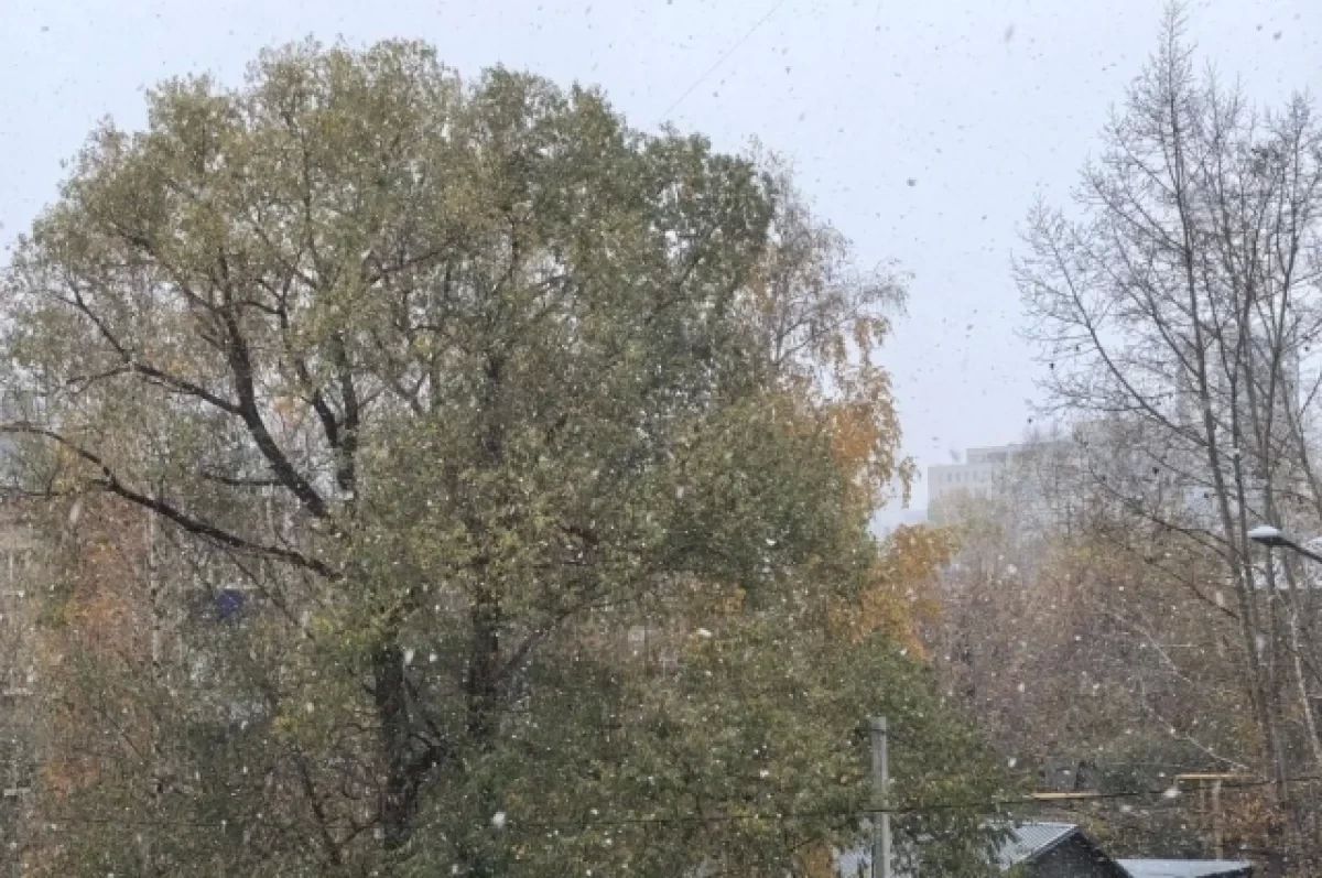 В Барнауле пошел первый снег