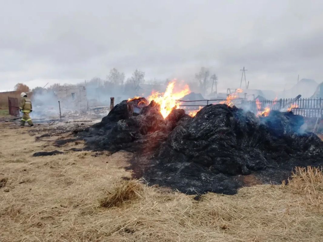 Крупный пожар в Крутихинском районе: огонь уничтожил надворные постройки Крупный пожар в Крутихинском районе: огонь уничтожил надворные постройки