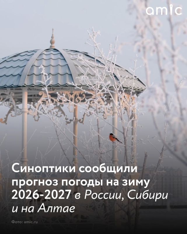 Предстоящая зима может стать одной из самых непредсказуемых за последние 25 лет: синоптики дают противоречивые прогнозы — от аномального тепла до резких перепадов температур и обильных осадков, пишет "Лента.ру"