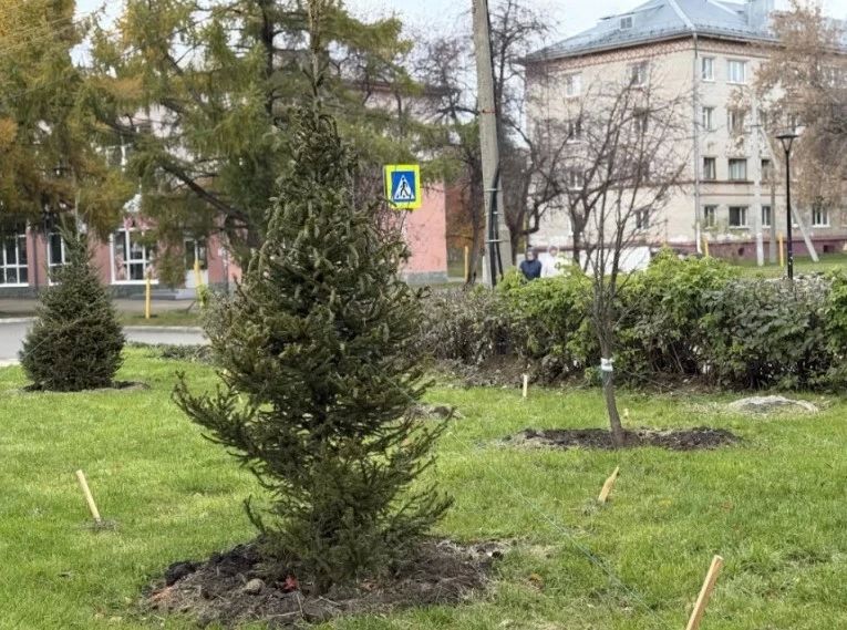 В барнаульском поселке Южном завершают благоустройство аллеи имени Чепурко В барнаульском поселке Южном завершают благоустройство аллеи имени Чепурко