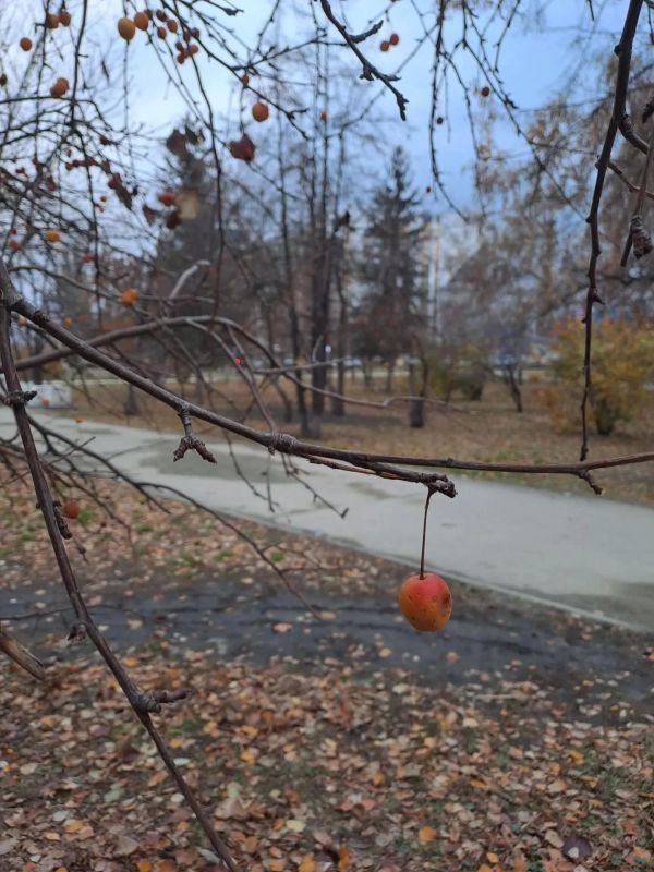 На следующей неделе жителей Алтайского края ждёт потепление до +7 °C