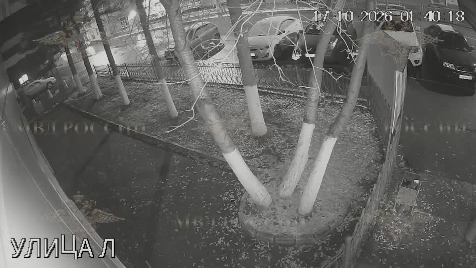 Студента Пензенского университета задержали за поджог автомобиля у отдела полиции в Барнауле