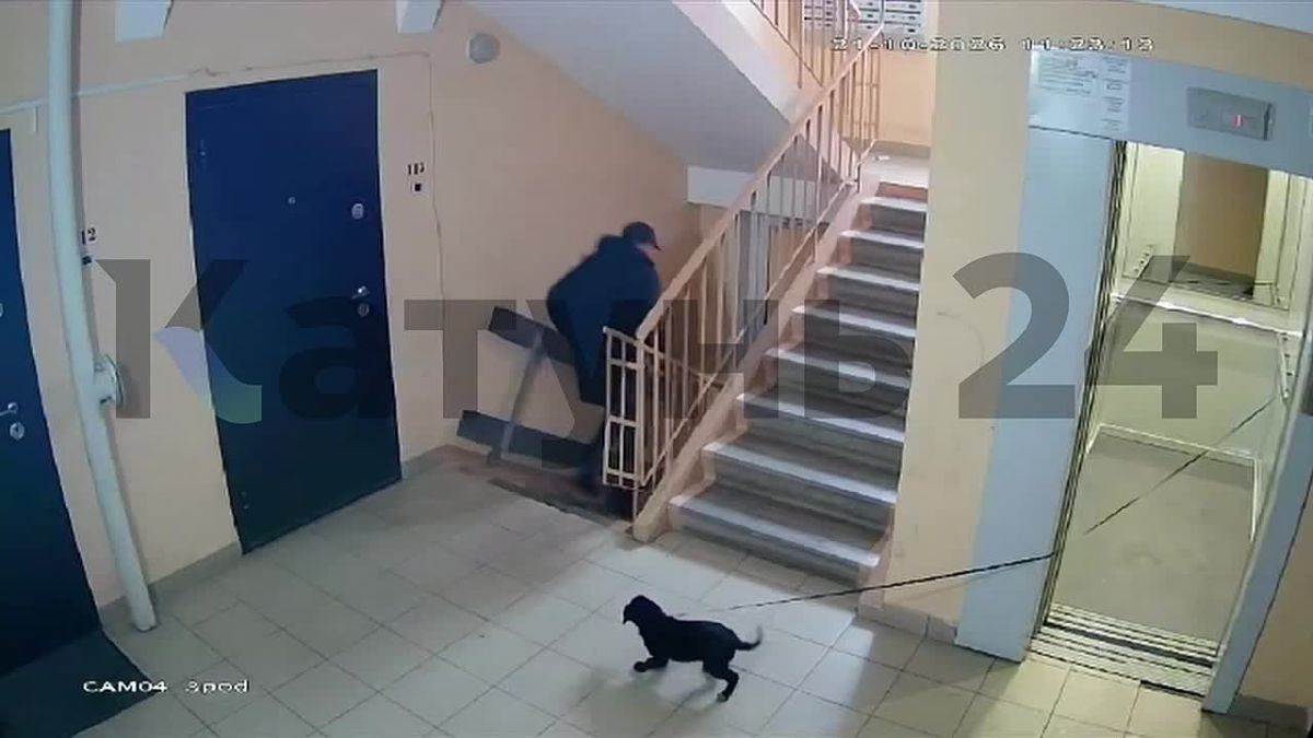 Неизвестный привязал собаку к лифту в Новоалтайске и скрылся