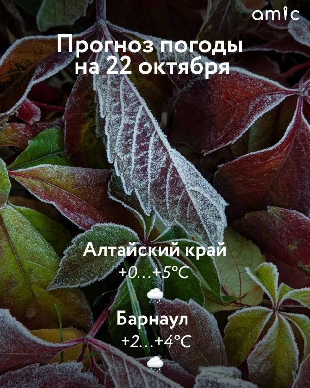 Доброе утро! О погоде 22 октября