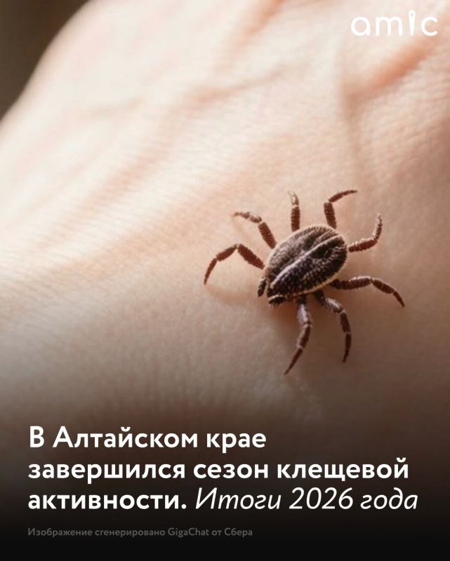 В Алтайском крае подвели итоги сезона активности клещей, который продолжался около семи месяцев