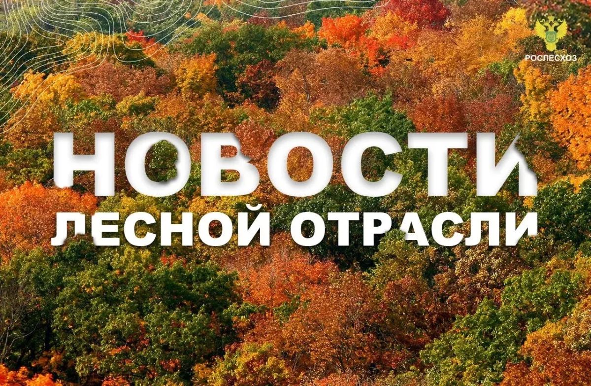 Радио 1: Все пожары в подмосковных лесах стали ликвидировать в первые сутки