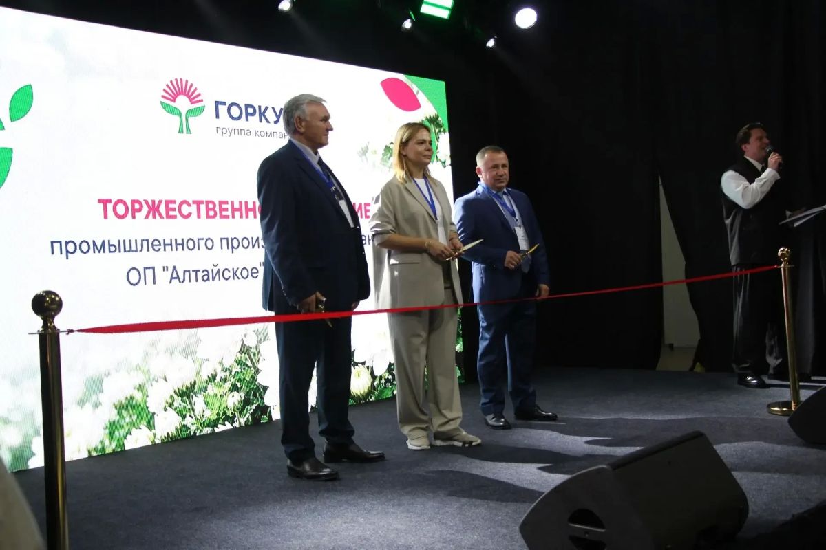 В Алтайском крае завершили реализацию инвестиционного проекта по промышленному производству хризантем В Алтайском крае завершили реализацию инвестиционного проекта по промышленному производству хризантем