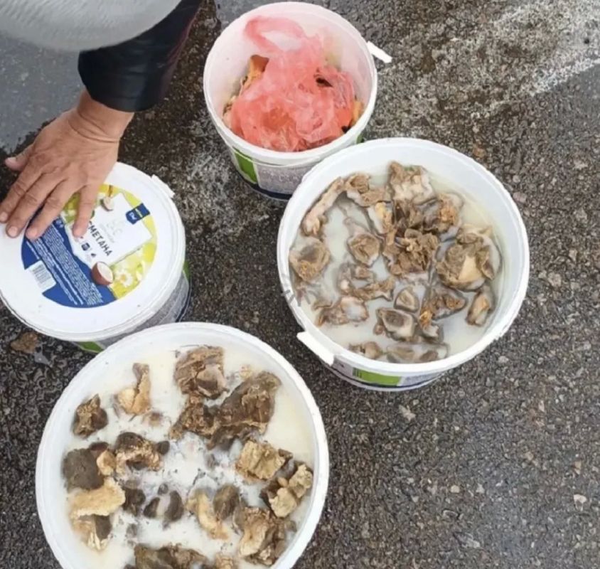 Мед, масло и мясо без сертификатов не пустили в Алтайский край Мед, масло и мясо без сертификатов не пустили в Алтайский край
