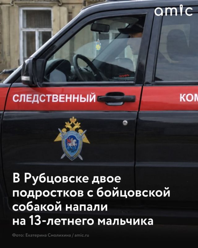 По сообщениям в соцсетях, ребенка избили двое сверстников, которые находились на улице с собакой бойцовой породы