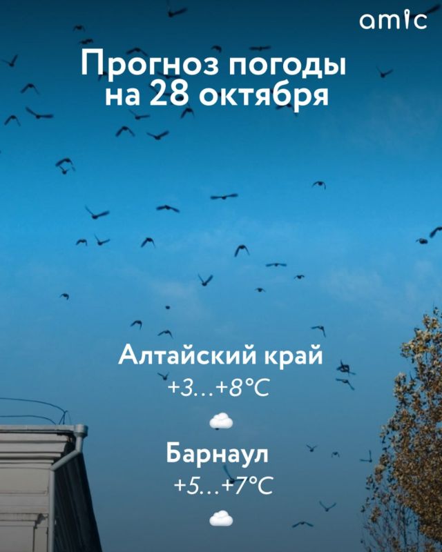 Доброе утро! О погоде 28 октября