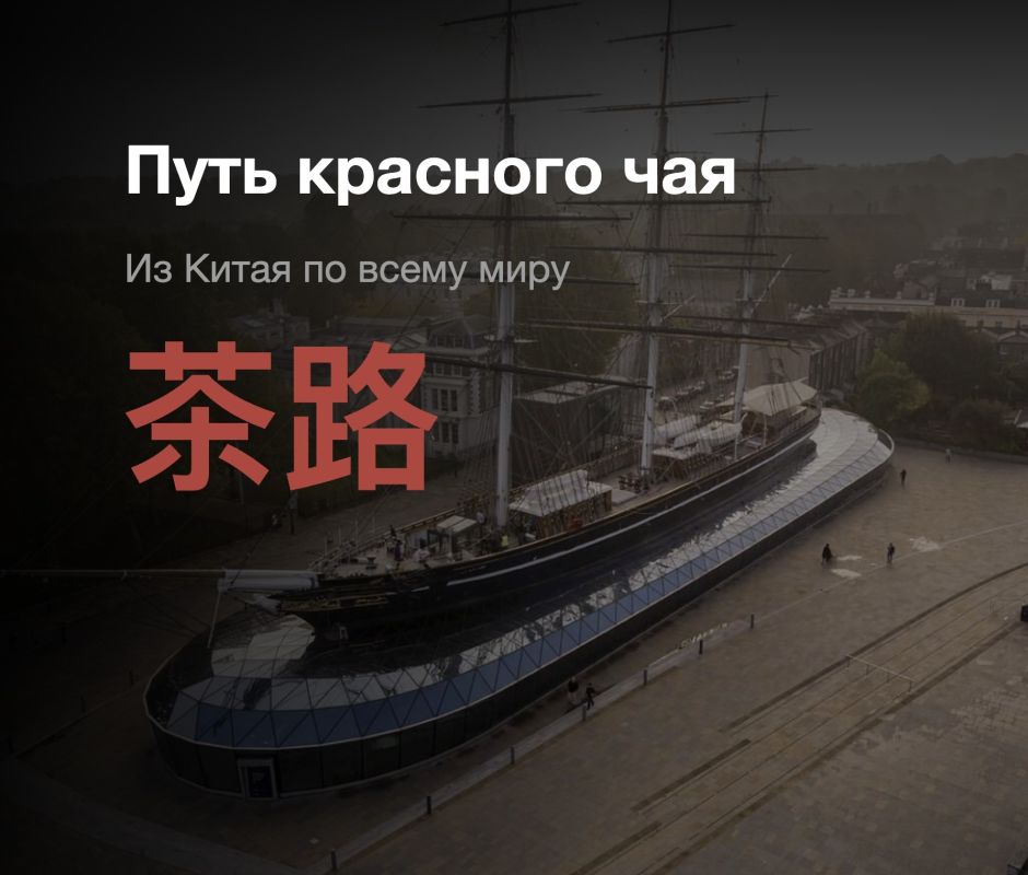 Красный в Китае, чёрный в России: как чай из Поднебесной покорил мир