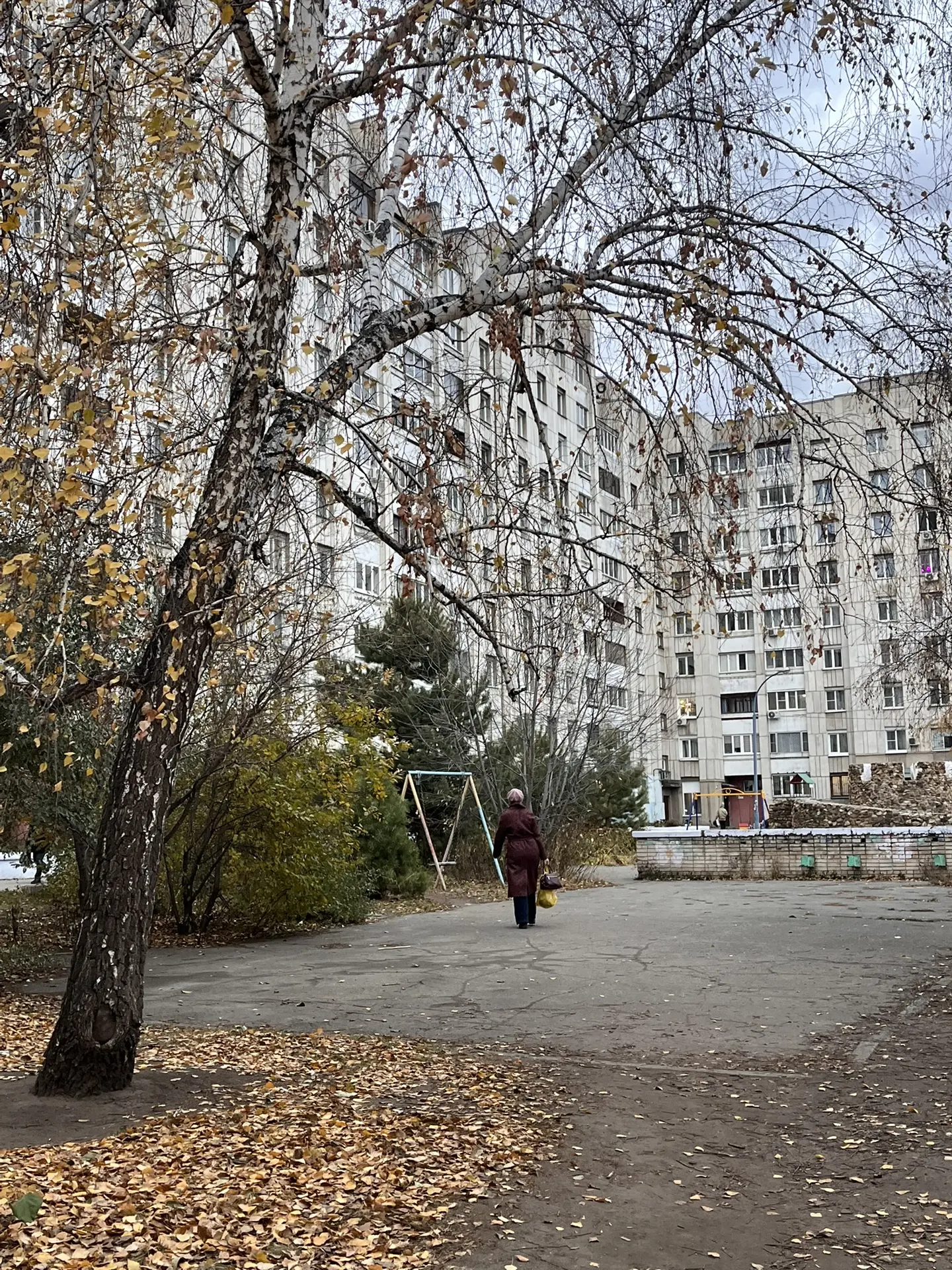 Доброе субботнее утро, Алтайский край!